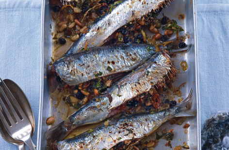 Sustainable fishing